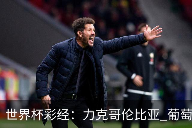 世界杯彩经：力克哥伦比亚 葡萄牙抢占榜首