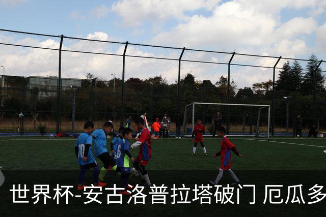 世界杯-安古洛普拉塔破门 厄瓜多尔2-1逆转德国出线