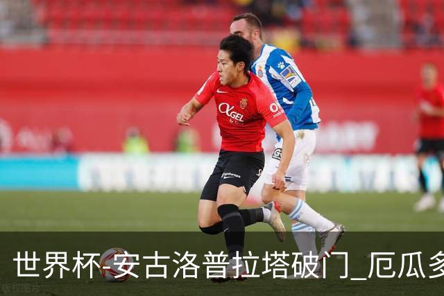 世界杯-安古洛普拉塔破门 厄瓜多尔2-1逆转德国出线