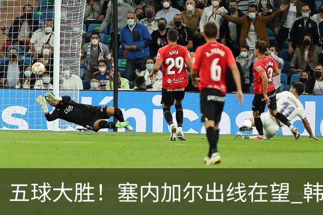 五球大胜！塞内加尔出线在望 韩国晋级仅剩理论希望