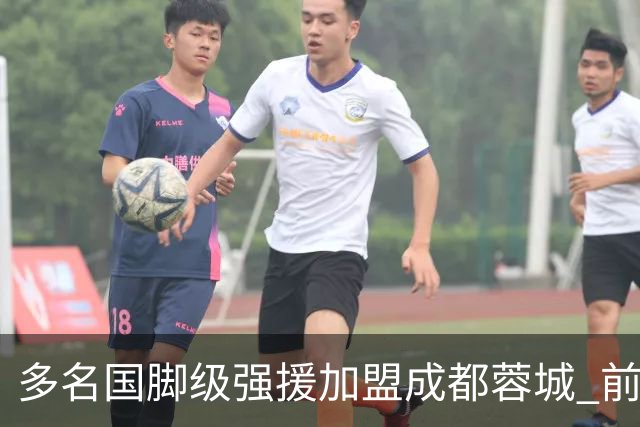多名国脚级强援加盟成都蓉城 前场还有进人空间